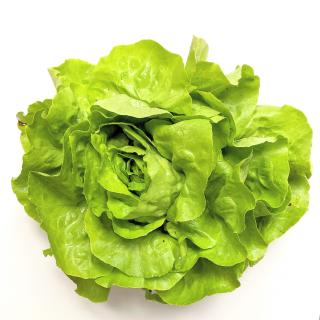 Salat - Kopfsalat grün