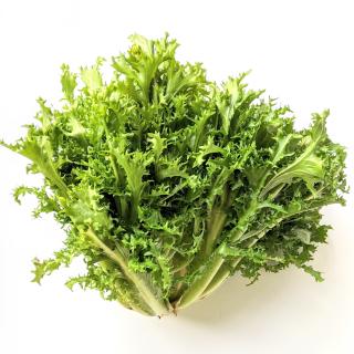 Salat - Endivie kraus