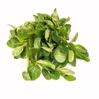 Salat - Feldsalat GRÜN mind. 120g