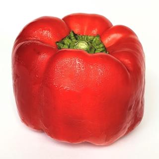 Paprika - rot