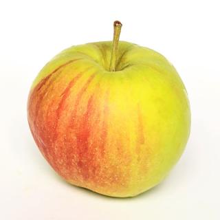 Apfel - Sunrise neue Ernte