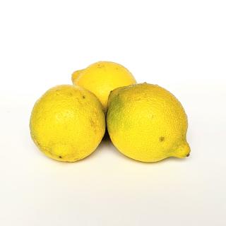 Zitrone