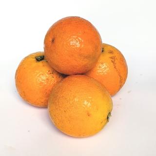 Orange - Saftorange