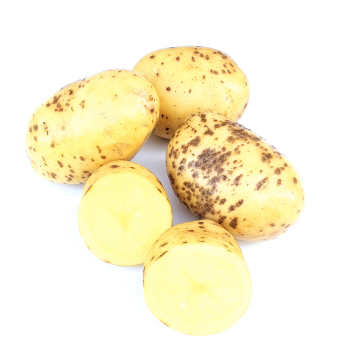 Kartoffel - Gunda 2,5kg mk