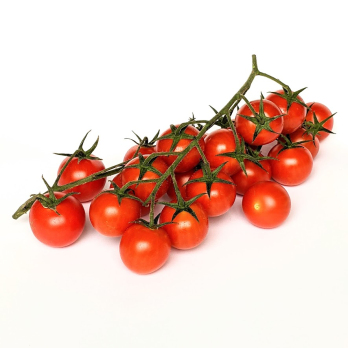 Tomate - Cherry-Strauch-Tomate, rot