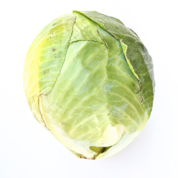 Weißkohl ca. 900g/Stück