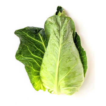 Spitzkohl grün ca. 500g/Stück