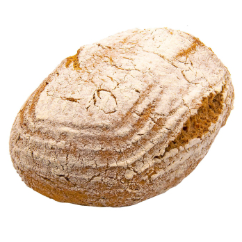 Wattenscheider  RW oval (v)