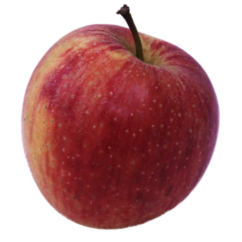 Apfel - Pinova