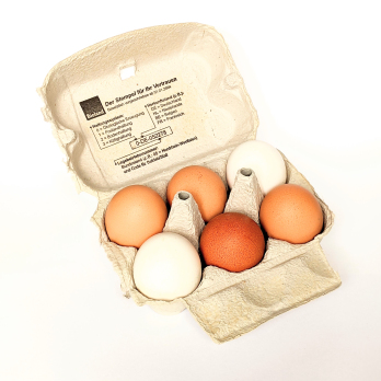 Eier - 6er, Größe L