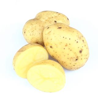 Kartoffel - (Früh-) Nicola 2,5kg fk