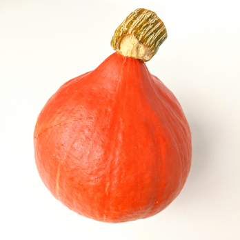Kürbis - Hokaido orange ca. 1kg/Stück