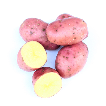 Kartoffel - Laura 2,5kg fk rotschalig