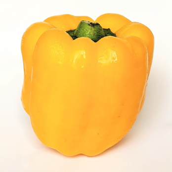 Paprika - gelb