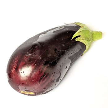 Aubergine