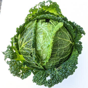 Wirsing ca. 400g+/Stück