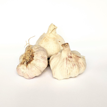 Knoblauch