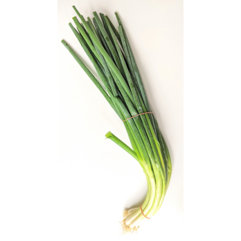 Zwiebel - Lauchzwiebeln/Bundzwiebeln