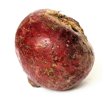 Rote Bete neue Ernte