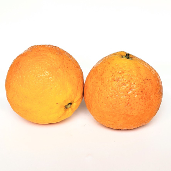 Orange - Apfelsine MORELL